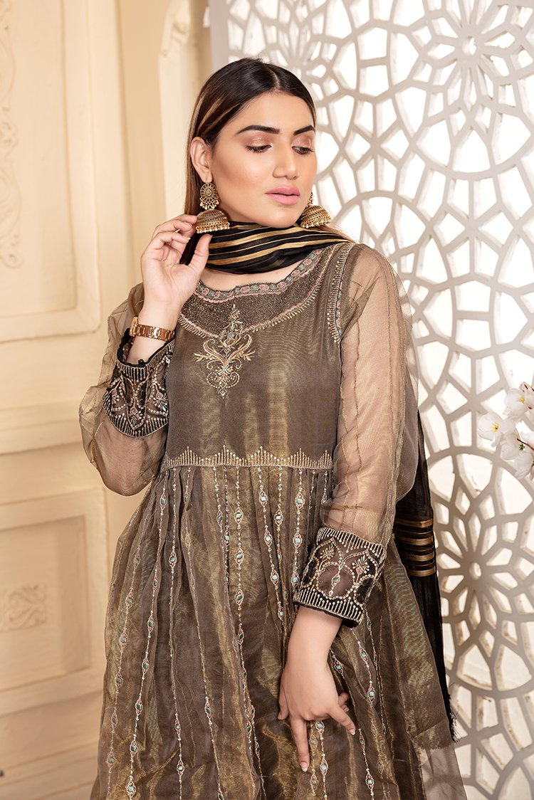 Ellena - 3-PC Stitched Organza Suit