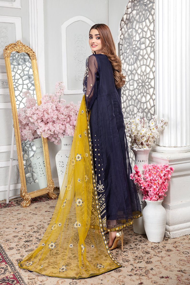 Ellena - 3-PC Stitched Organza Suit