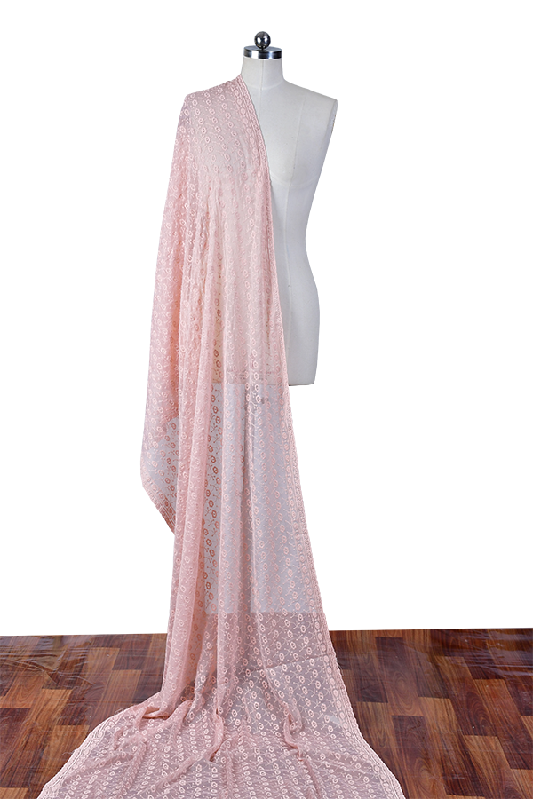 Adan's Libas - Careys Pink - Chikankeri Chiffon Dupatta