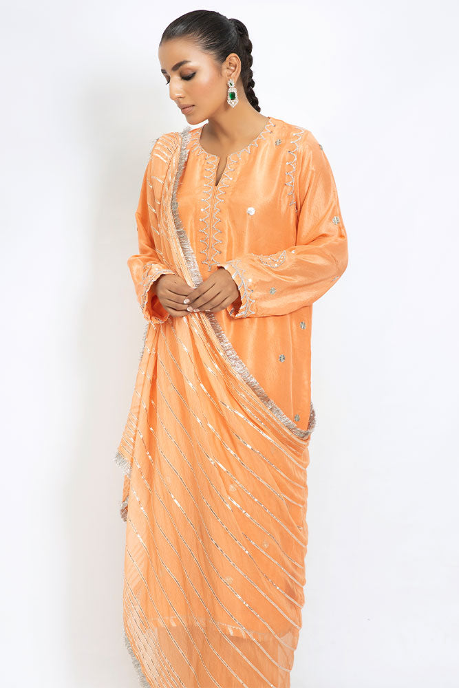 AK Formal - PE 13 Shirt