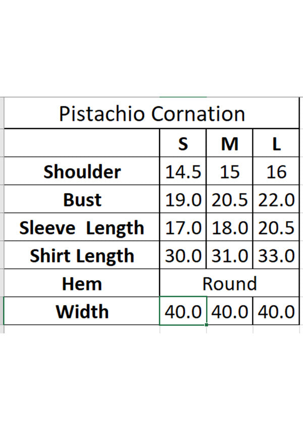 Bebano - PISTACHIO CARNATIONS