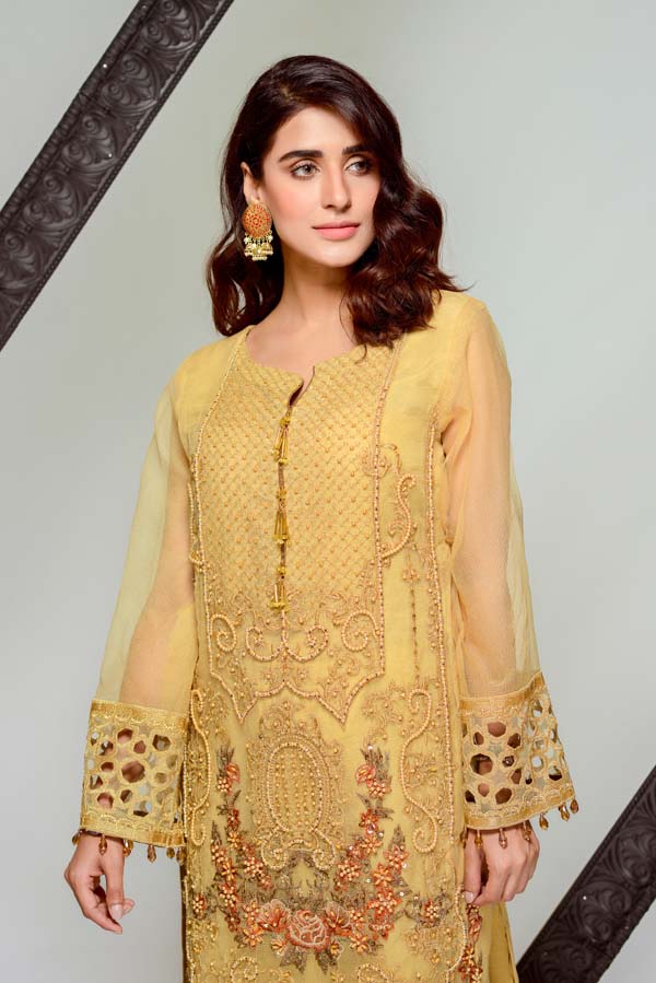 Adan's Libas - Carnelian - Embroidered & Hand Embellished Cotton Net
