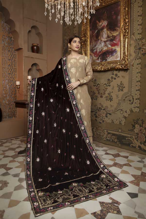 Adan's Libas - Congo Brown - Embroidered Velvet Shawl