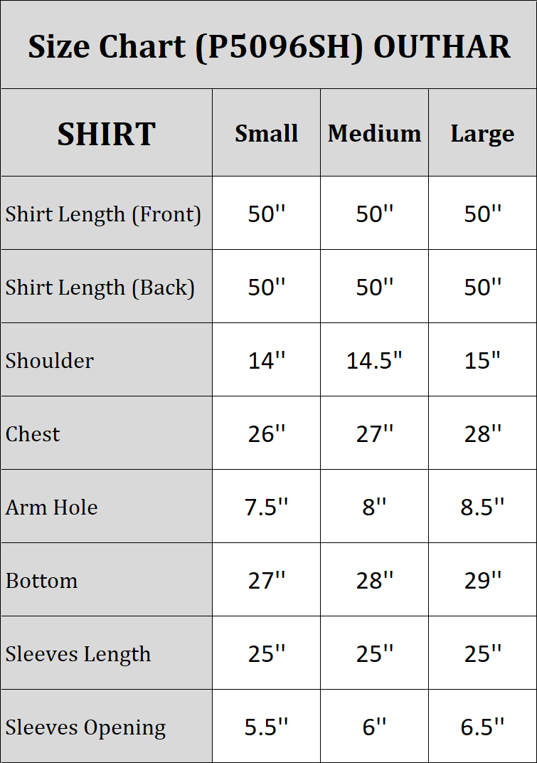 Chiffon Shirt-Embroidered (Pret)