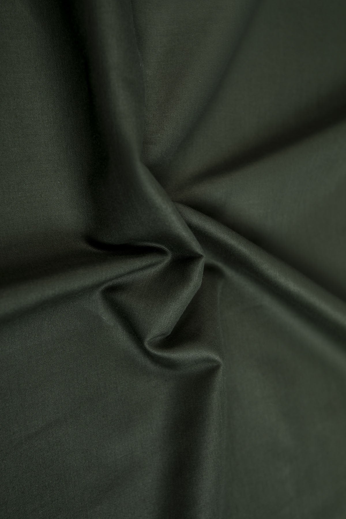 Evolution Egyptian Cotton