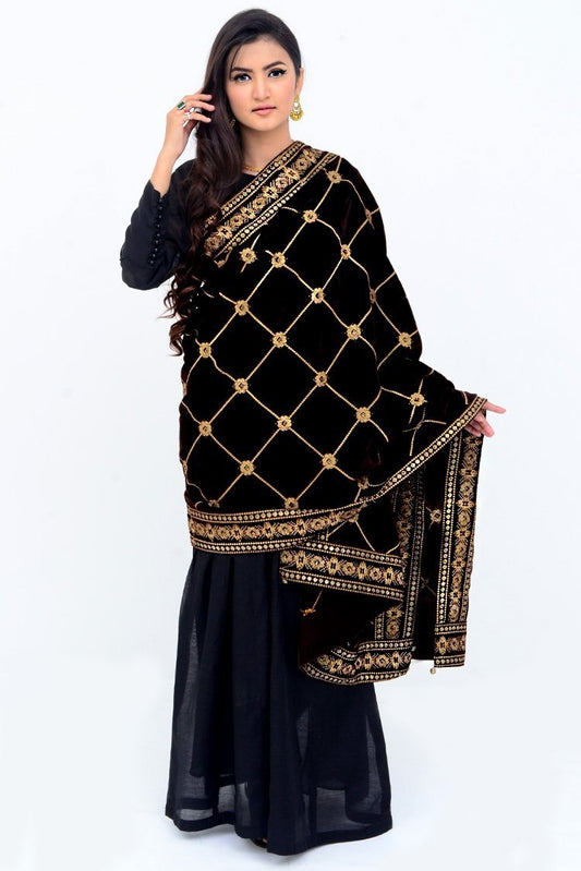 Ellena - Embroidered Velvet Shawl