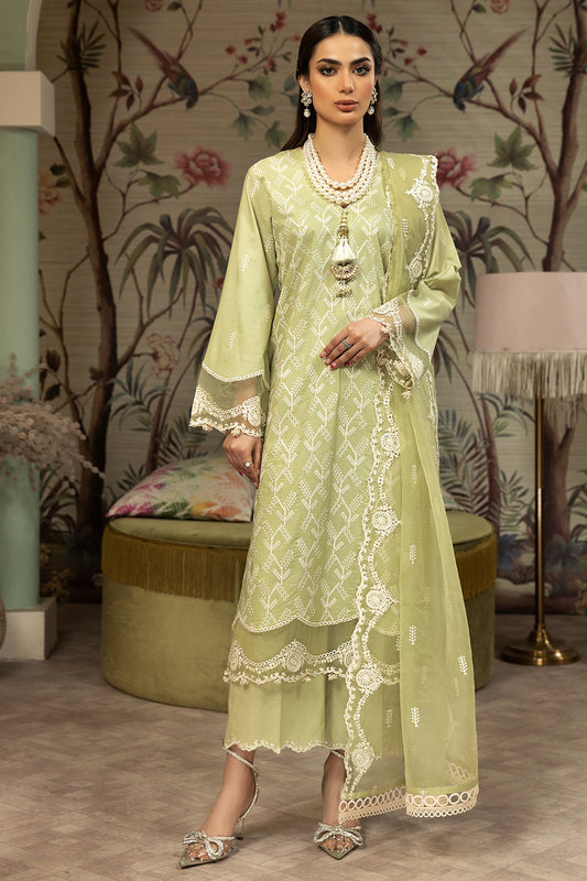 Elegance - ISABELLA