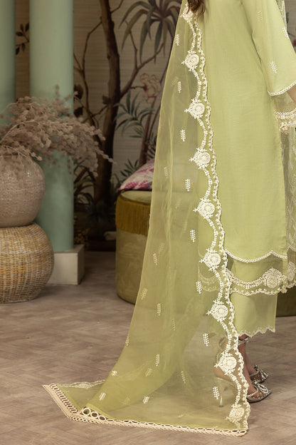 Elegance - ISABELLA