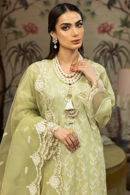 Elegance - ISABELLA