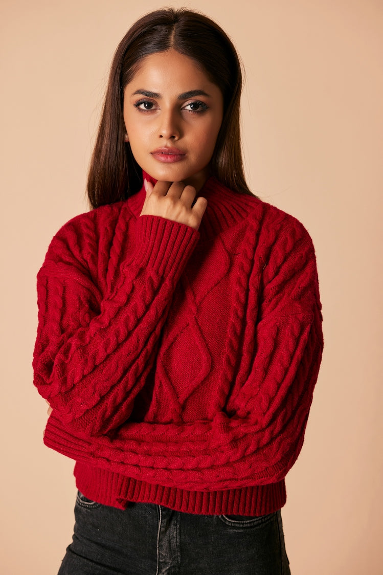 Ellena - Turtle Neck Pullover Sweater