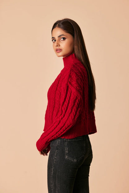 Ellena - Turtle Neck Pullover Sweater