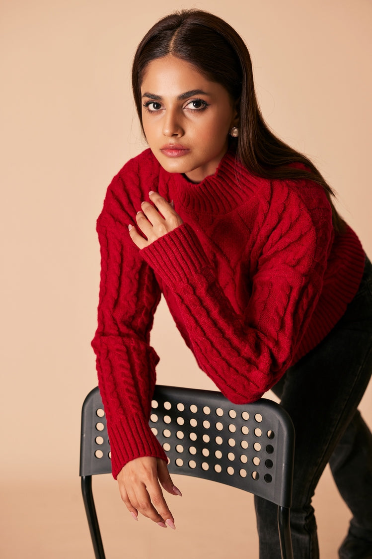 Ellena - Turtle Neck Pullover Sweater