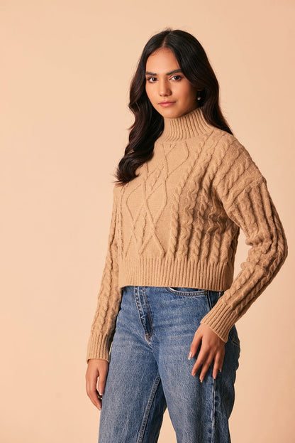 Ellena - Turtle Neck Pullover Sweater