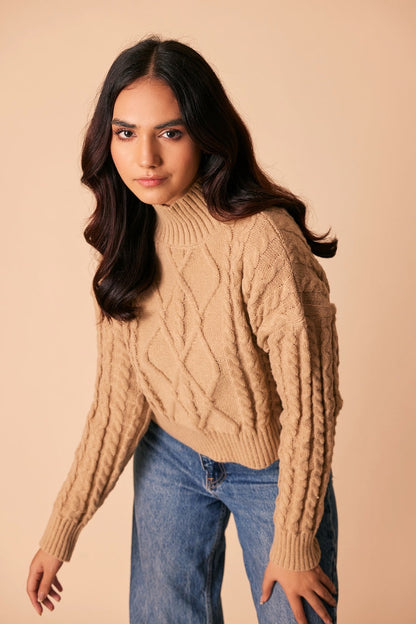 Ellena - Turtle Neck Pullover Sweater