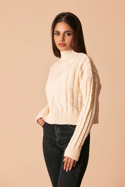 Ellena - Turtle Neck Pullover Sweater