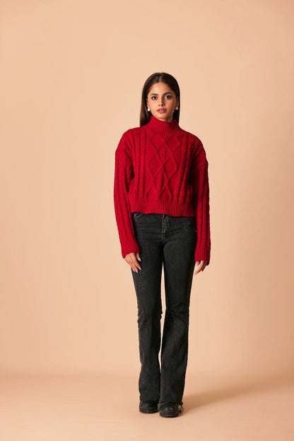 Ellena - Turtle Neck Pullover Sweater