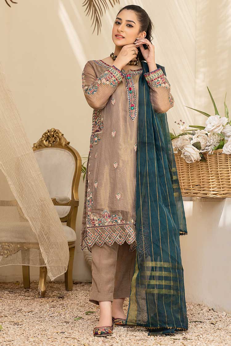 Ellena - 2-PC Stitched Organza Suit