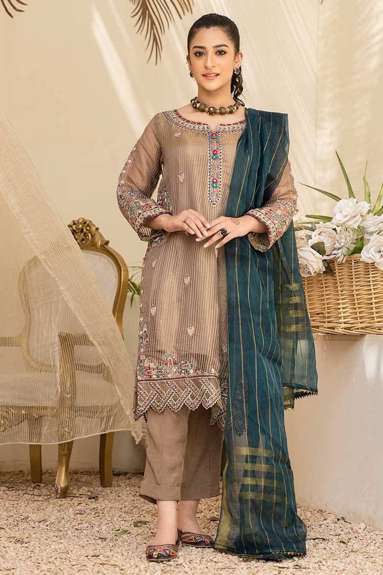 Ellena - 2-PC Stitched Organza Suit