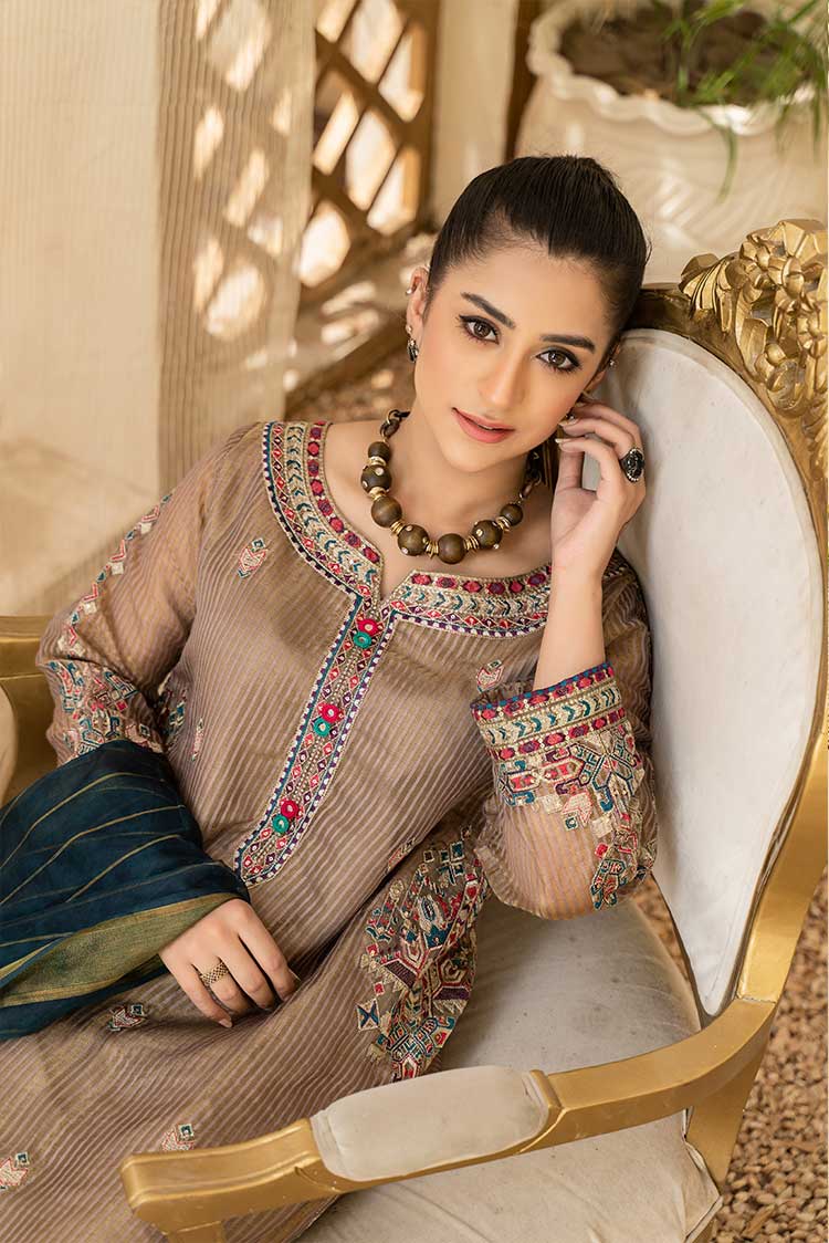 Ellena - 2-PC Stitched Organza Suit