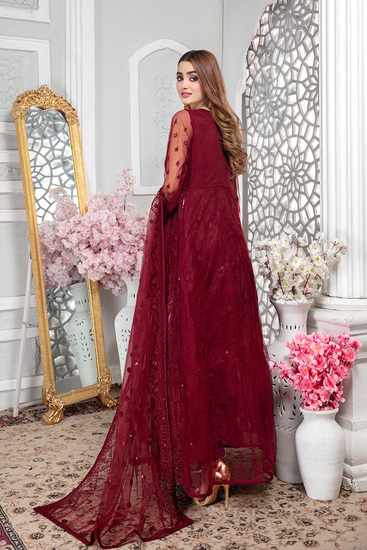 Ellena - Embroidered Net Maxi Dress