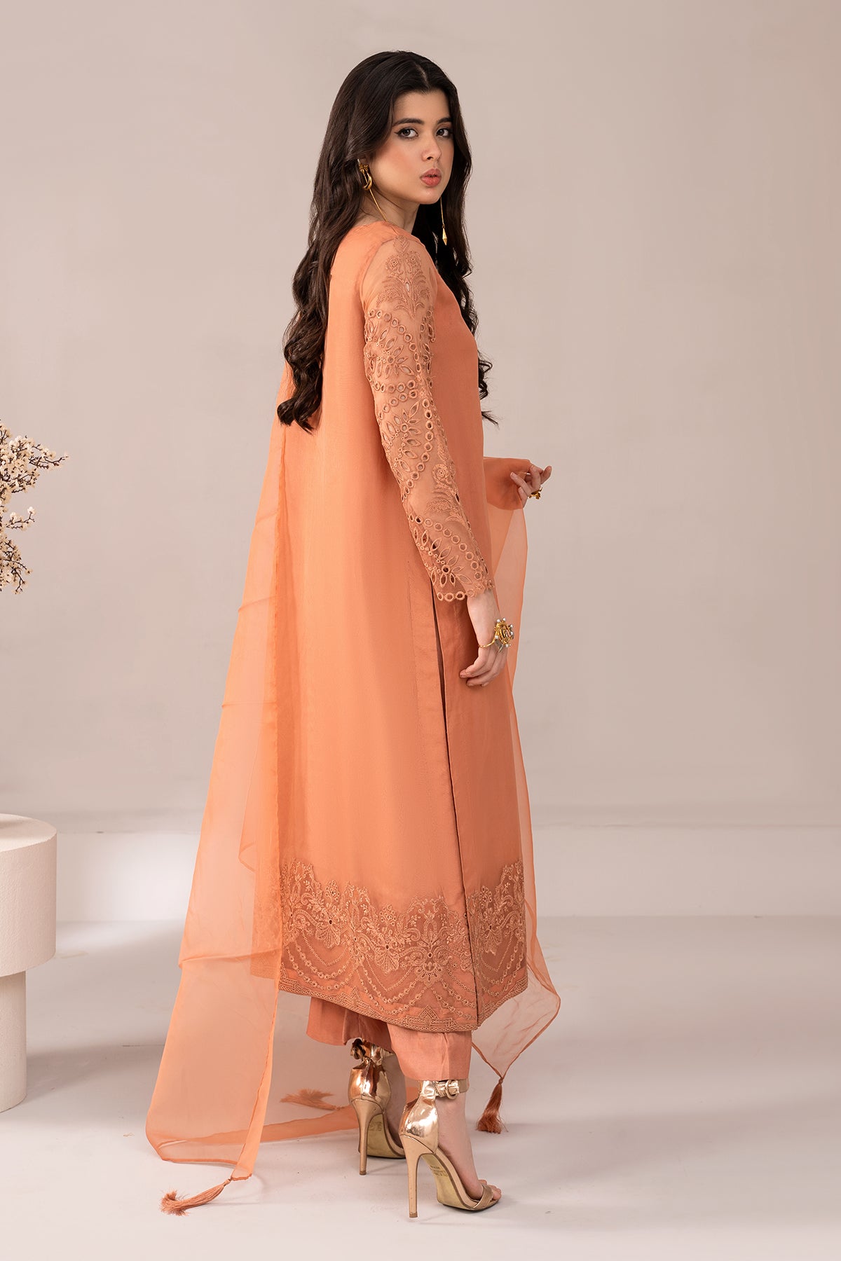 Charizma - 3-PC Embroidered Organza Shirt with Organza Dupatta and Trouser CMA-3-220