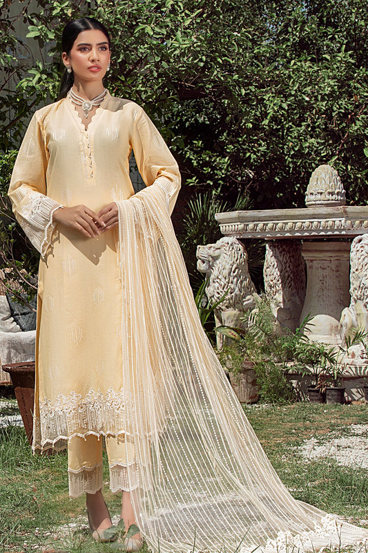Elegance - ASNA