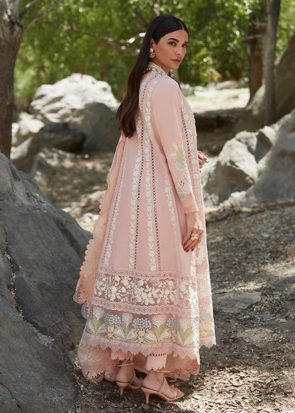 Crimson - Chikkankari Affair - D2 B