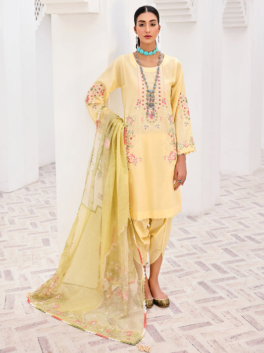 Abeera Usman - Arome