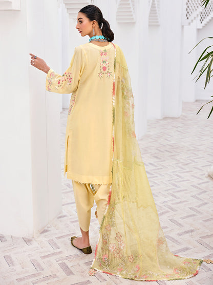 Abeera Usman - Arome