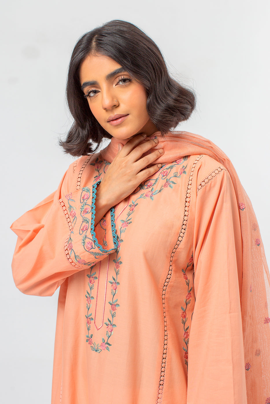 Beechtree - 2 PIECE EMBROIDERED LAWN SUIT (PRET)