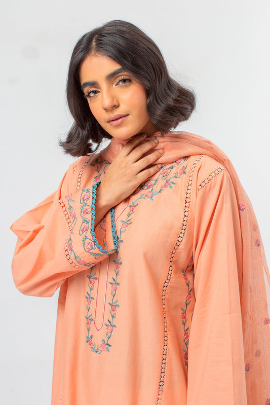 Beechtree - 2 PIECE EMBROIDERED LAWN SUIT (PRET)