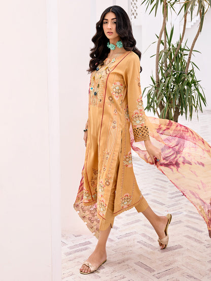 Abeera Usman - Bloom