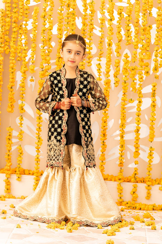 Adan's Libas - Black Embroidered Net Gown
