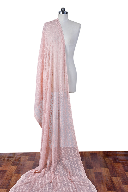 Adan's Libas - Careys Pink - Chikankeri Chiffon Dupatta