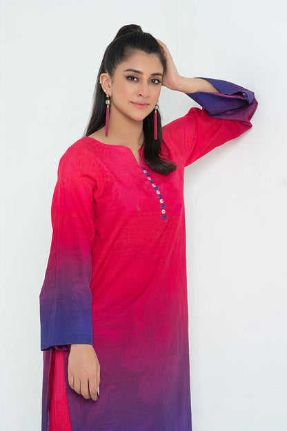 Ellena - 2-PC Stitched Printed Khaddar Suit