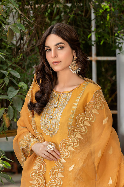 Elegance - ARYA