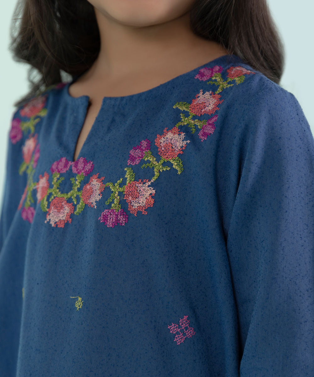 Sapphire - 2 Piece - Embroidered Karandi Suit