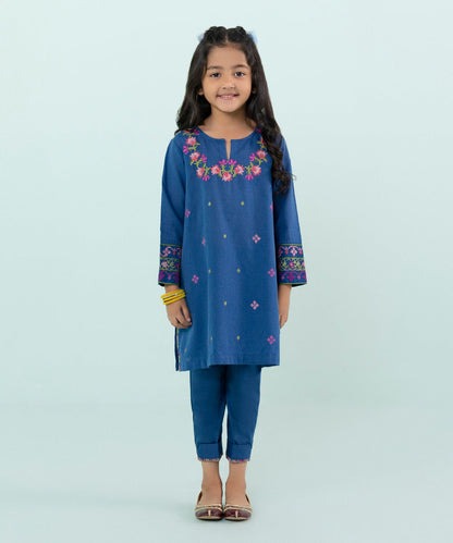 Sapphire - 2 Piece - Embroidered Karandi Suit