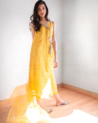 Ayesha Naveed - Marigold