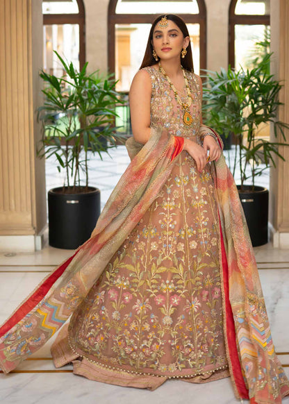 Saira Shakira - Crimson - Blush - 1A