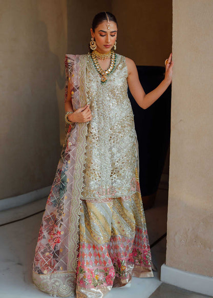 Saira Shakira - Crimson - Ivory - 5A