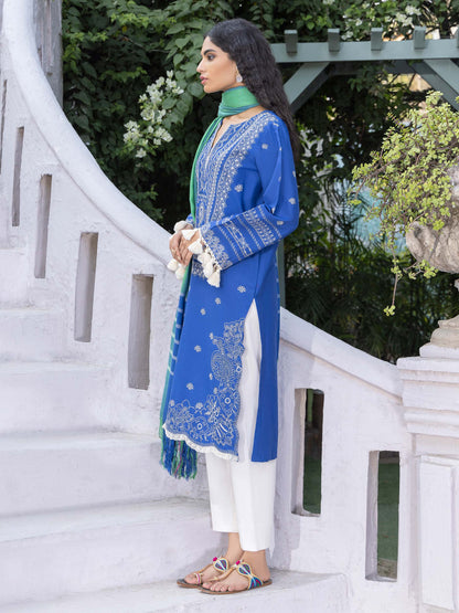 2 Piece Winter Cotton Suit-Embroidered (Pret)