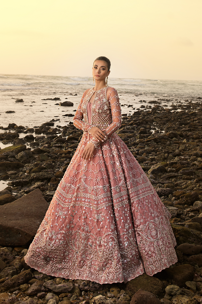 Ayesha Shoaib Malik - Rosetta