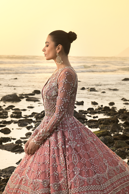 Ayesha Shoaib Malik - Rosetta