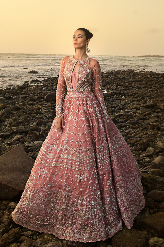 Ayesha Shoaib Malik - Rosetta