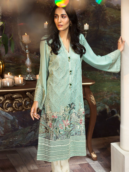 Embroidered Chiffon Shirt