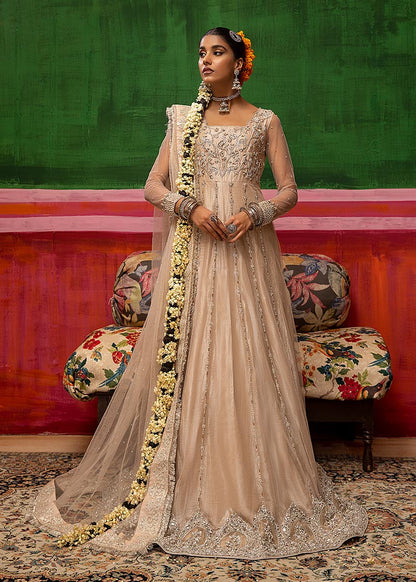 Mahum Asad - DAHLIA