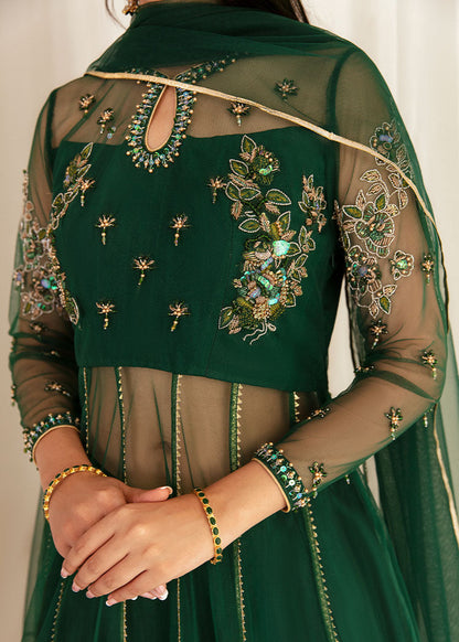 Mahum Asad - Tazmin - Client Diary