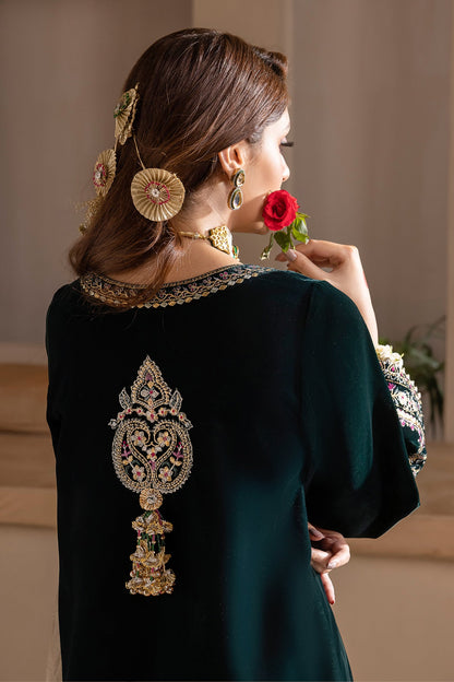 Baroque - EMBROIDERED VELVET PR-858