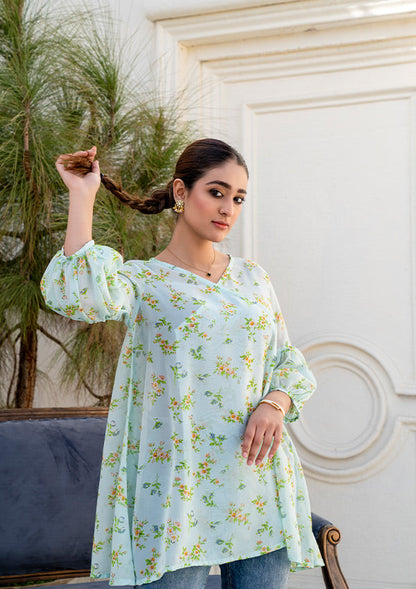 Bebano - PISTACHIO CARNATIONS